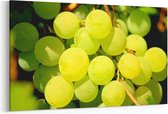 Schilderij - Groene druiven — 90x60 cm