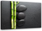 Schilderij Bamboe op zwarte stenen , 2 maten , groen zwart (wanddecoratie)