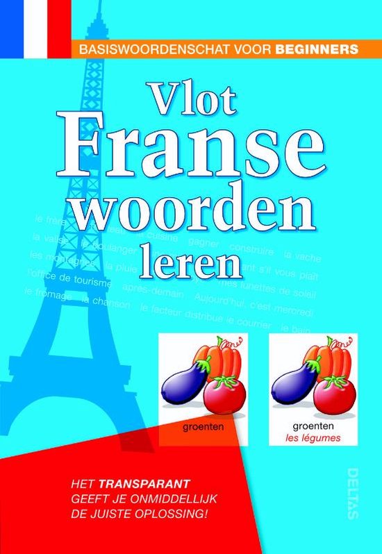 Cover van het boek 'Vlot Franse woorden leren' van Jan Ceulemans