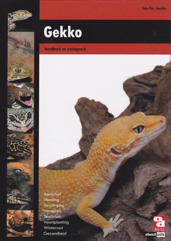 Gekko - cover