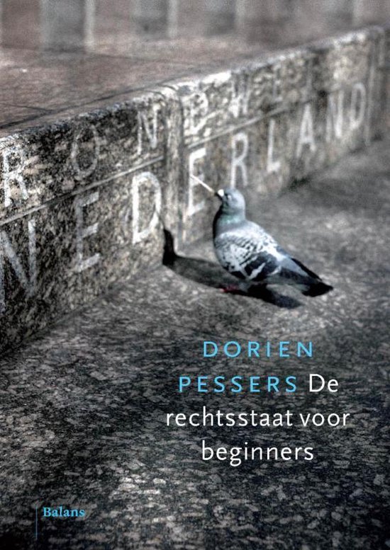 De rechtsstaat voor beginners - cover