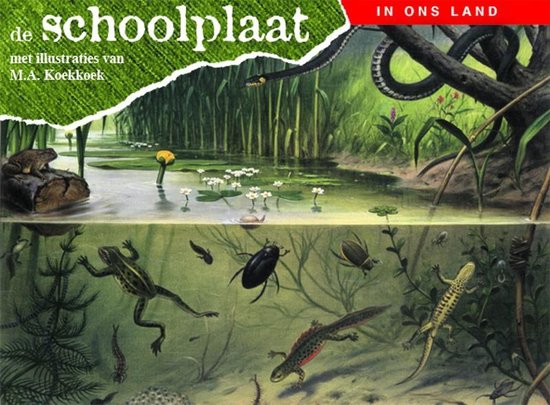 Foto: De schoolplaat in ons land