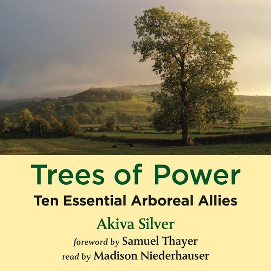 Trees of Power - cover