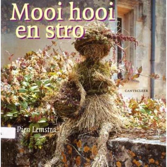 Gloed Herdenkings ontploffing Mooi hooi en stro, Pien Lemstra | 9789021328157 | Boeken | bol.com