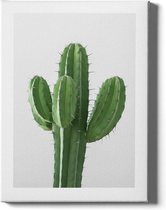 Walljar - Cactus - Muurdecoratie - Canvas schilderij