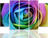 Schilderij , Regenboog Roos , 4 maten , 5 luik , Multikleur , Premium print , XXL