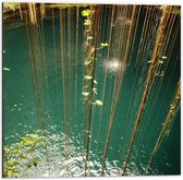 Dibond - Hangende Takken boven Water - 50x50cm Foto op Aluminium (Met Ophangsysteem)
