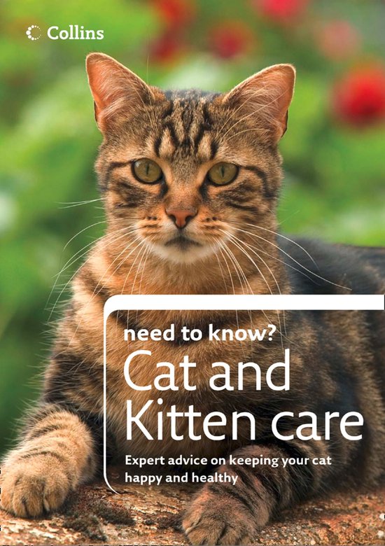 Collins Need to Know? - Cat and Kitten Care - cover