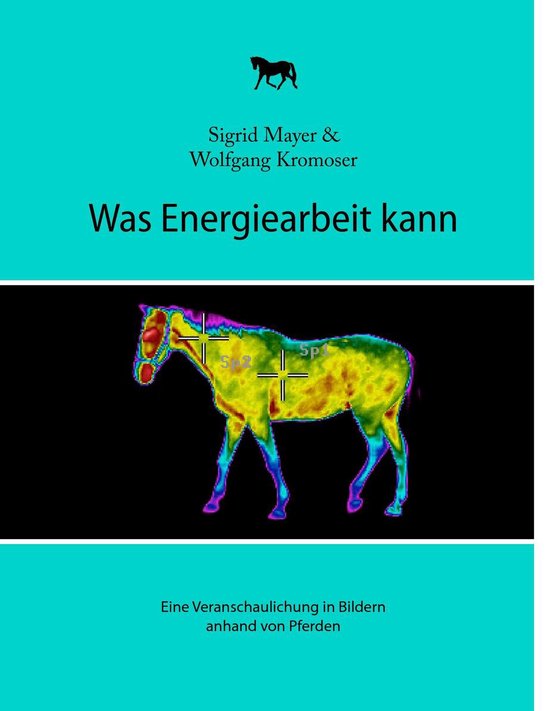 Was Energiearbeit kann - cover
