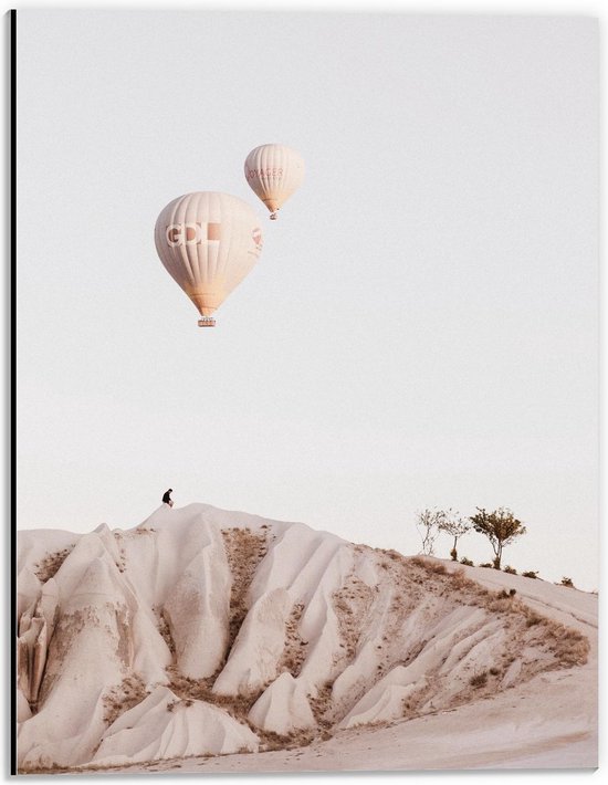 Dibond - Twee Luchtballonnen boven de Woestijn - 30x40cm Foto op Aluminium (Wanddecoratie van metaal)