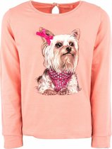 Stones and Bones t-shirt meisjes - roze - dog - maat 116