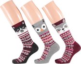 Apollo Cat P Socks | 3-Pack Giftbox | Maat 36-41