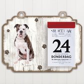 Scheurkalender 2023 Hond: Amerikaanse Buldog