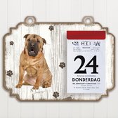 Scheurkalender 2023 Hond: Shar Pei