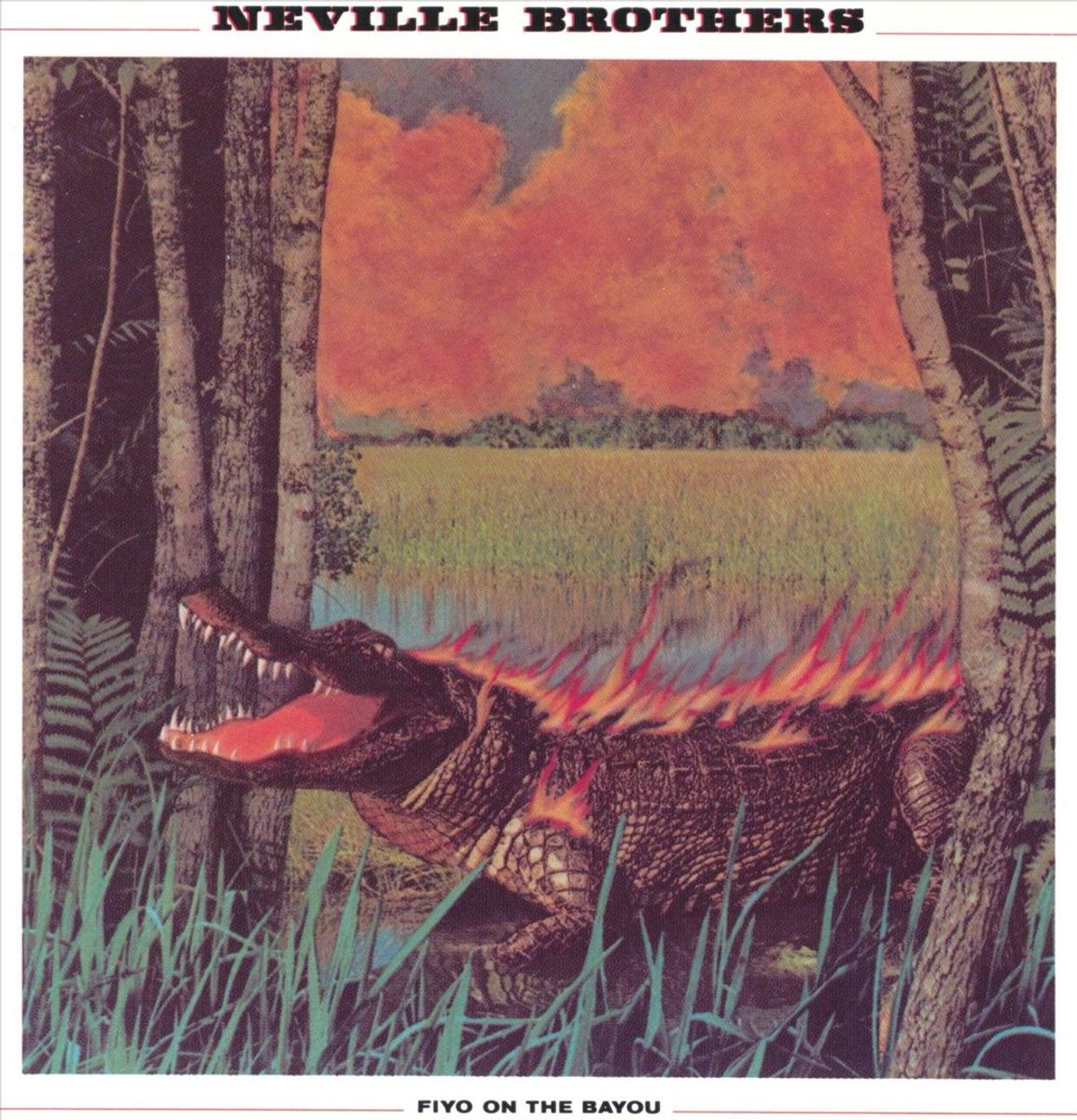 Fiyo on the Bayou