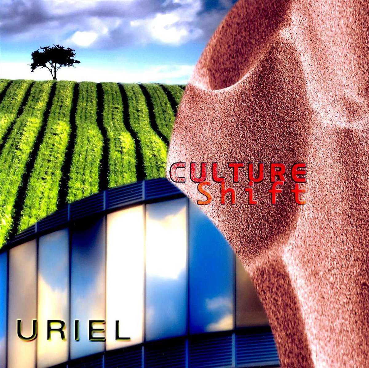 Culture Shift