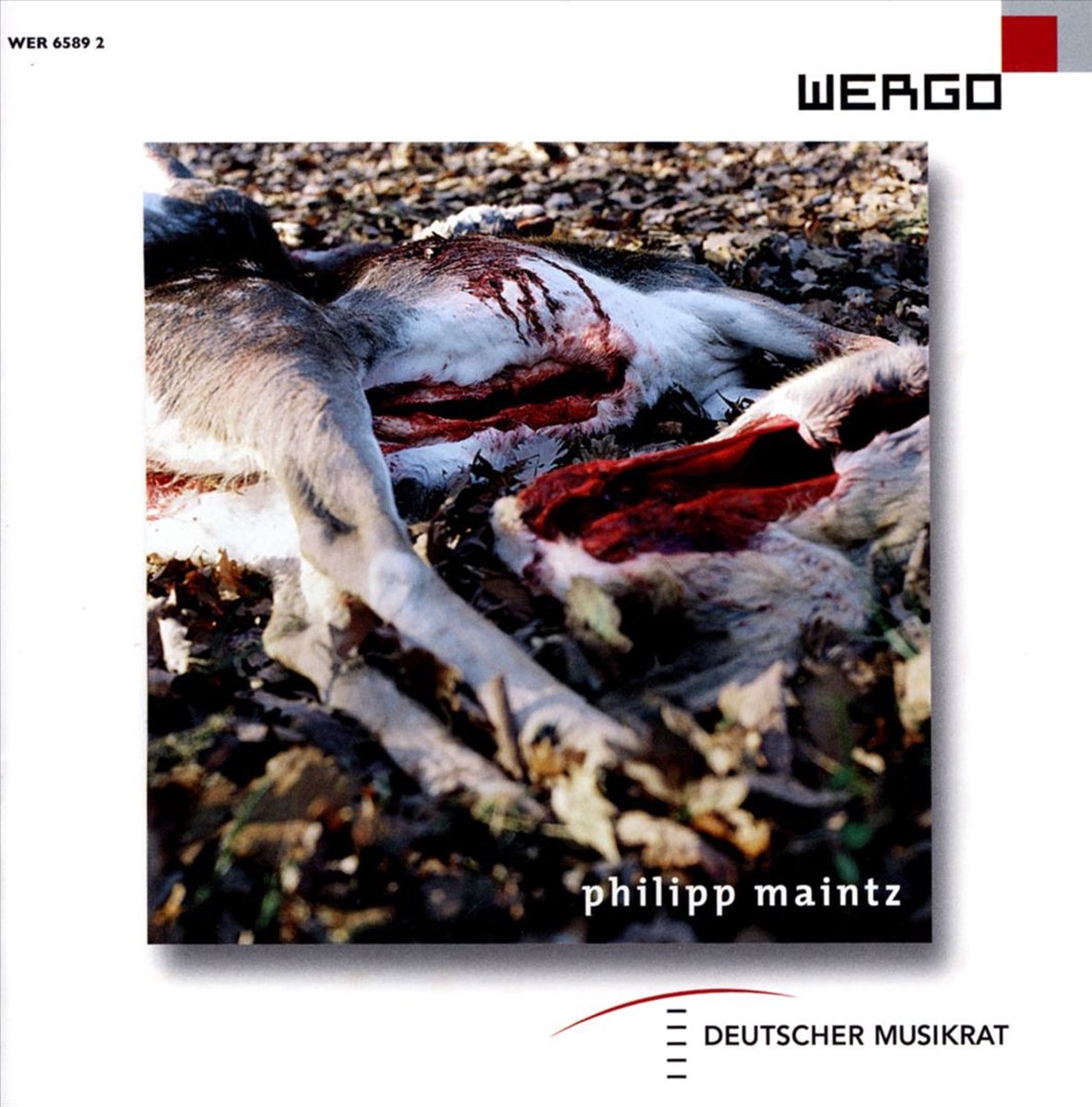 Philipp Maintz: Fluchtlinie/Naht...