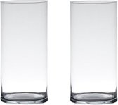 Set van 2x stuks transparante home-basics Cylinder vaas/vazen van glas 25 x 12 cm - Bloemen/takken/boeketten vaas voor binnen gebruik
