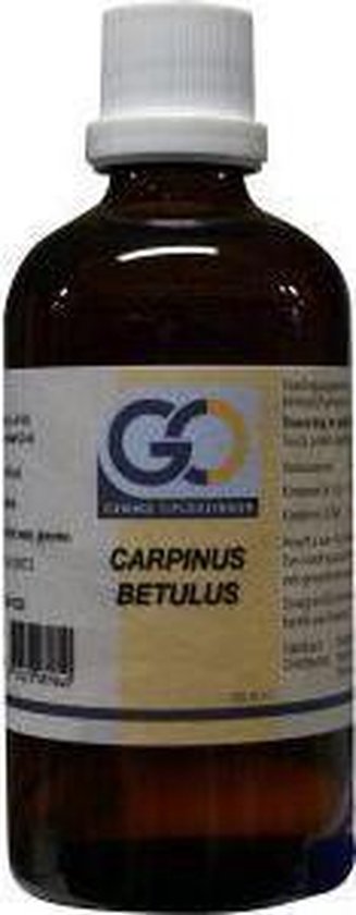 Foto: Go carpinus betulus