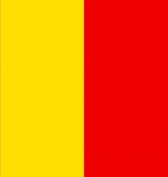 Supportersvlag 60 90 Polyester Zwart/geel/rood | bol.com