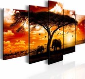 Schilderij - Zwerm vogels over de savanne, Afrika, 5luik ,Wanddecoratie , Multikleur , 2 maten