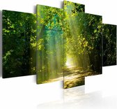 Schilderij - Zonnig Bospad ,Groen, 5luik , premium print op canvas