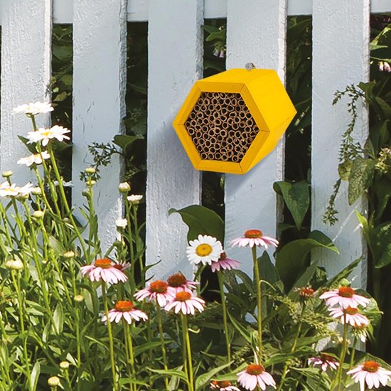 Bijenhuis Honeycomb Modular