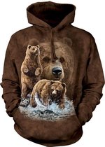 Hoodie Find 10 Browns Bears M