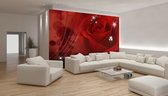 Flower Rose Red  Photo Wallcovering