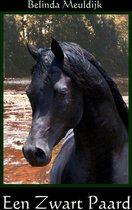 Een zwart paard