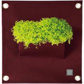 Plantenbak Bloomingwalls The Green Pockets AMMA1 - Wijnrood