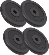 Halterschijven 30 kg gietijzer 4 st