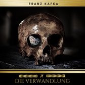 Kort boekverslag over Die Verwandlung van Franz Kafka uit 5 vwo