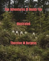 The Adventures of Reddy Fox Illustrated