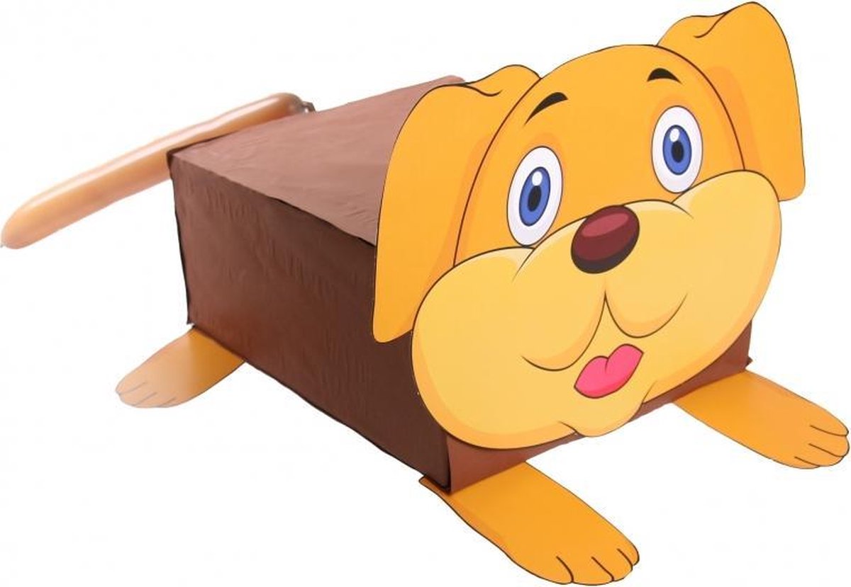 Waden Opschudding kleurstof Hond surprise maken pakket | bol.com