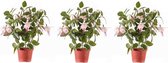 2x Lichtroze fuchsiaplant kunstplant 30 cm voor binnen - kunstplanten/nepplanten/binnenplanten
