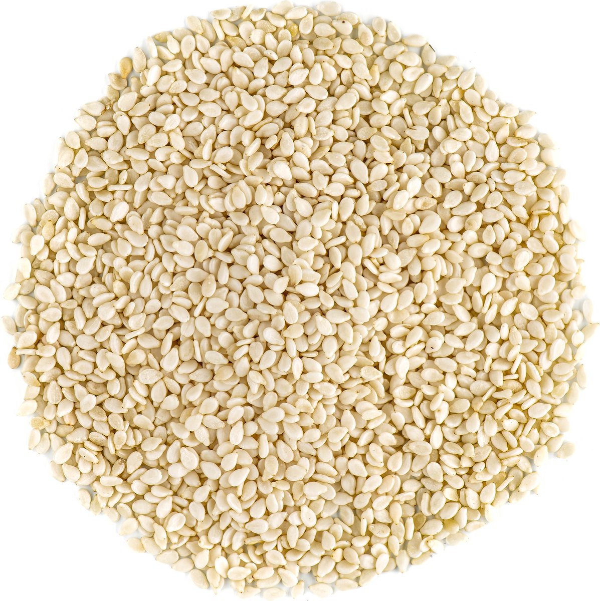 witte Sesam Zaad Bio Kwaliteit - Sesam Zaden
