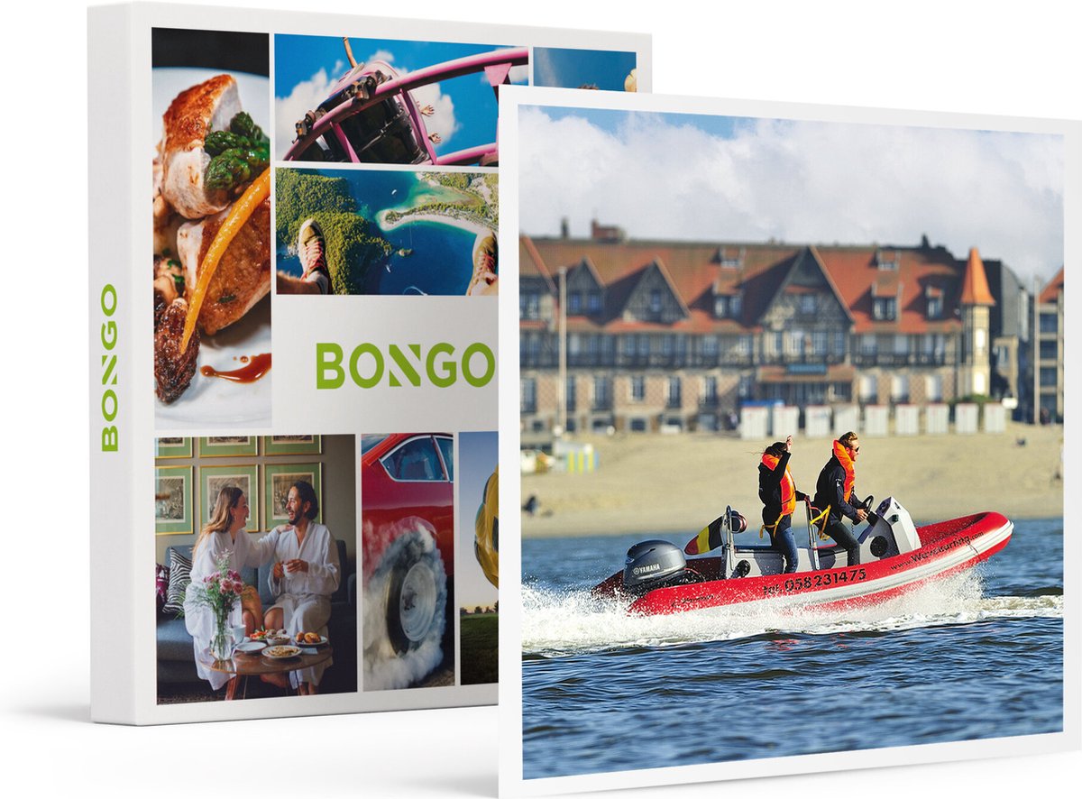 Bongo Bon -Zeehonden Spotten Op De Westerschelde Voor 2 Personen- Cadeaukaart