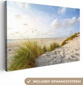 Peintures sur Toile Plage - Mer - Vogels - 120x80 cm - Décoration murale