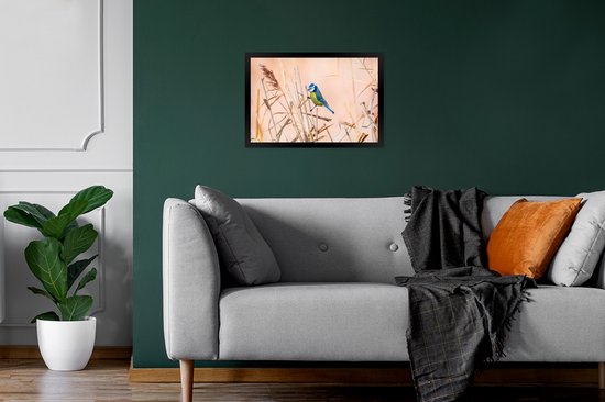 Poster - Cadre photo - Vogel - Pimpelmees Ressorts - Plumes - Roseau - Nature - 30x20 cm - Poster oiseaux - Cadre affiche - Photo sous cadre - Décoration chambre - Poster nature - Posters