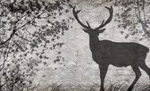 Fotobehang - Vlies Behang - Schaduw van een Hert op Betonnen Muur - 254 x 184 cm