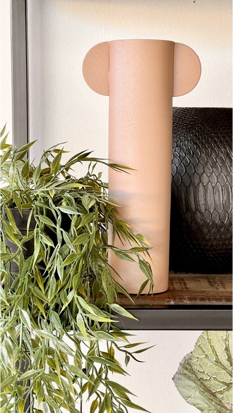 Groene hangplant met lange, slanke, lichtgroene bladeren, gedeeltelijk zichtbaar op een plank.