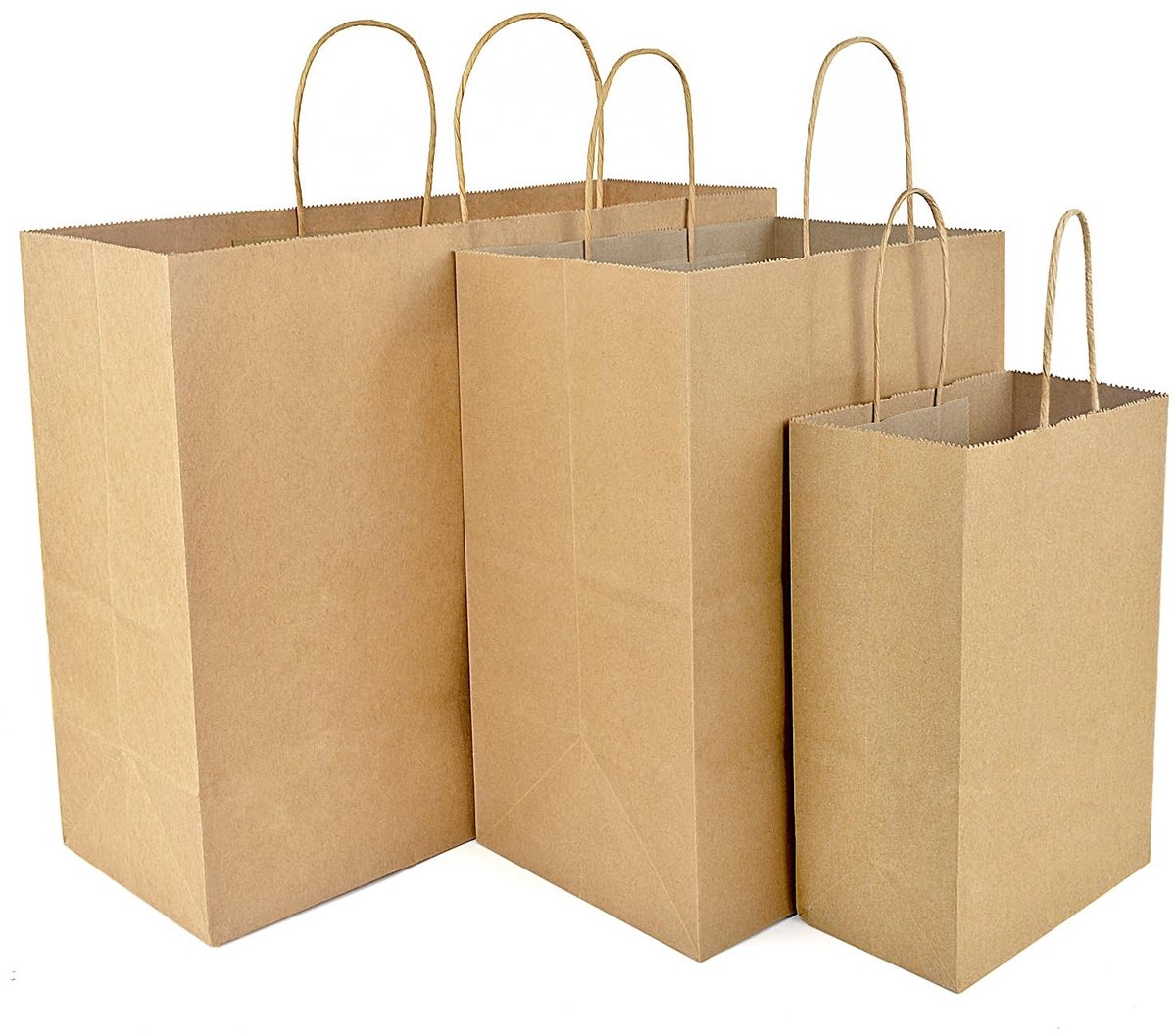 Dailygoods- Papieren Zakken Stevig - Papieren Draagtassen - Papieren Zakken met Handvat - Kraftpapieren Tassen - 100 Stuks - Hoogwaardig 130 g/m² Kraftpapier - Geschenktassen