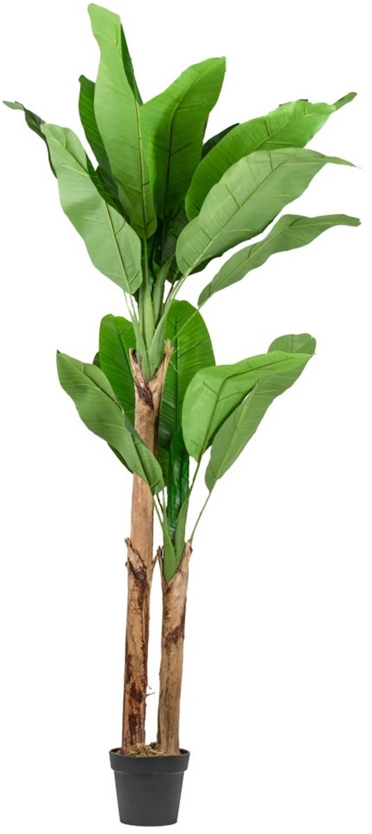 Kunstplant bananenboom 180cm