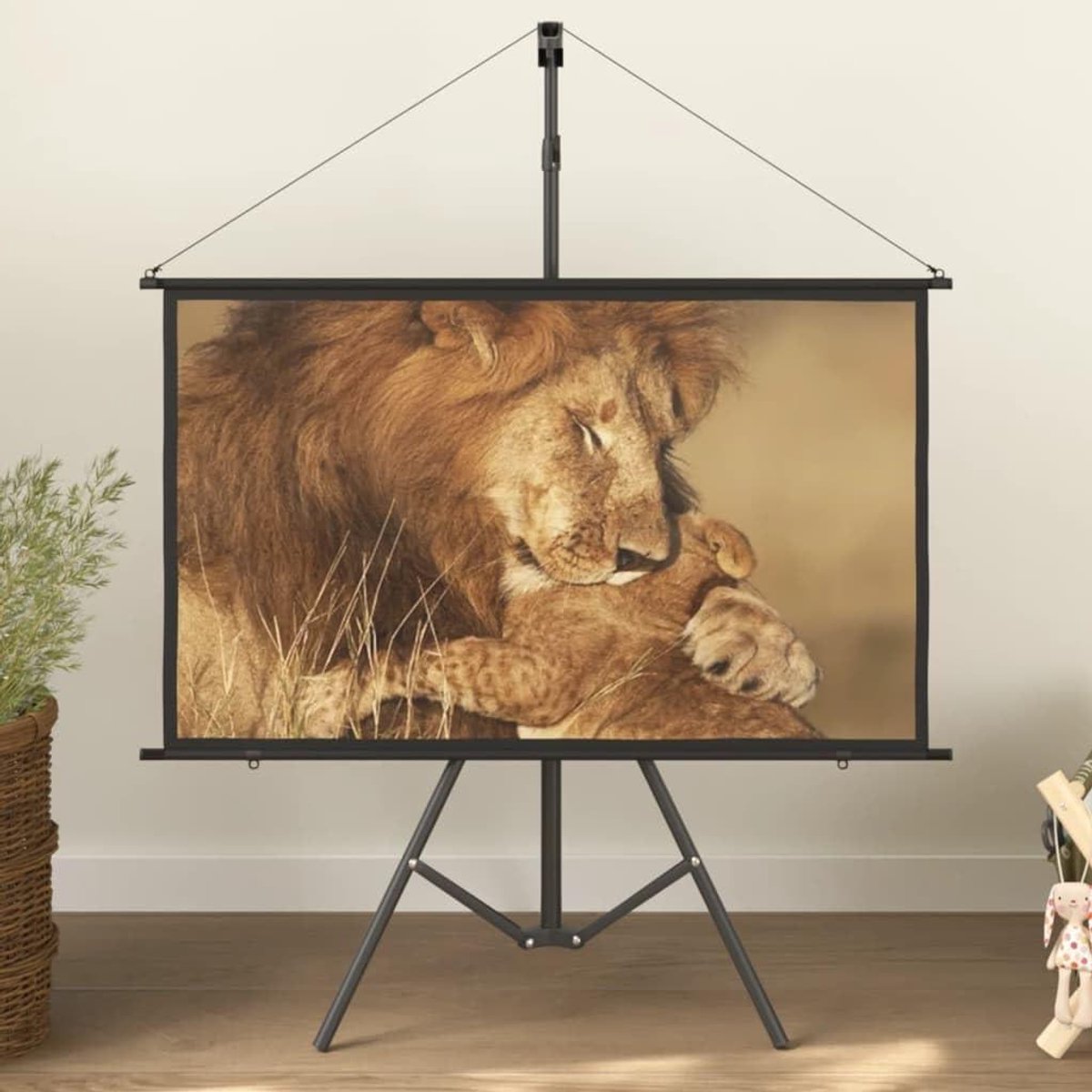 Projectiescherm met Statief - Projector Scherm - Presentaties Geven - In Hoogte Verstelbaar - 50 inch 16:9 - Mat Wit