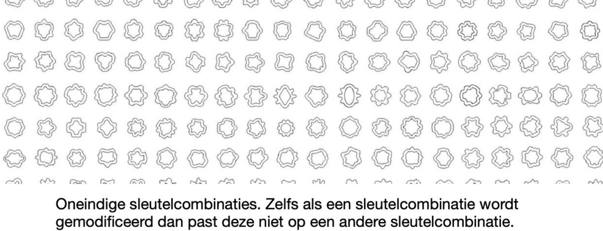 Dragonslock Slotbout (wielslot) - Ford Tourneo Connect Vanaf 01/2014
