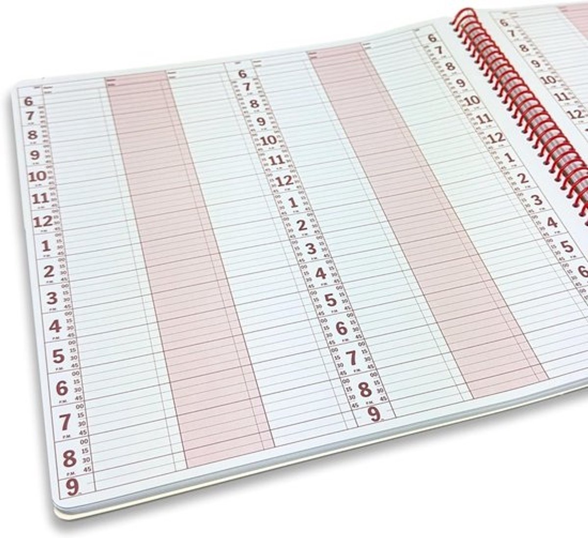 Onedateerde Agenda en Afsprakenplanner voor Zaken en Dagplanning - 6 Kolommen