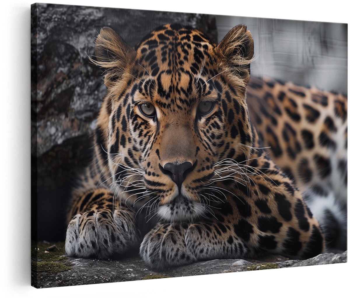 Artaza Canvas Schilderij Luipaard Rustend op een Rots - Dieren - 180x120 cm - Groot - Wanddecoratie Woonkamer - Schilderijen - Muurdecoratie