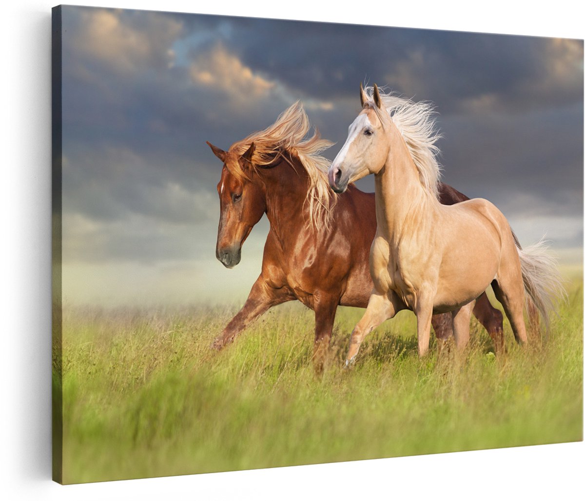 Artaza Canvas Schilderij Bruin En Wit Paard In De Wei - 180x120 cm - Groot - Wanddecoratie Woonkamer - Schilderijen - Muurdecoratie