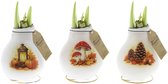 Wax Amaryllis Crafts Forest Mix | 3 stuks | Prachtige Wax Amaryllis voor in huis
